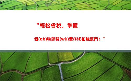 個(gè)人所得稅applogo(個(gè)人所得稅App里面怎么退稅)