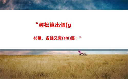 個(gè)人所得稅app有什么用(下載個(gè)人所得稅app有什么用)