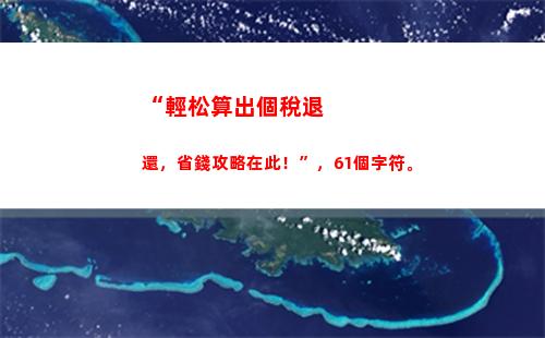 個人所得稅238(個人所得稅23年什么時候申報)