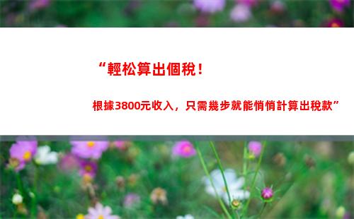 個人所得稅app怎么報個人所得稅(個人所得稅app正版官方下載)