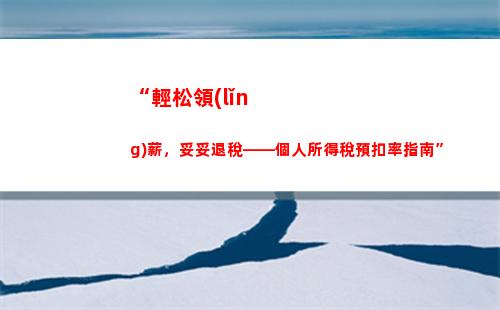 “輕松實現(xiàn)財富管理——個人所得稅公司案例分享”