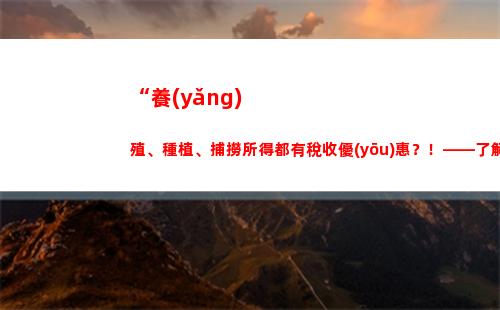 大學(xué)實(shí)習(xí)個(gè)人所得稅