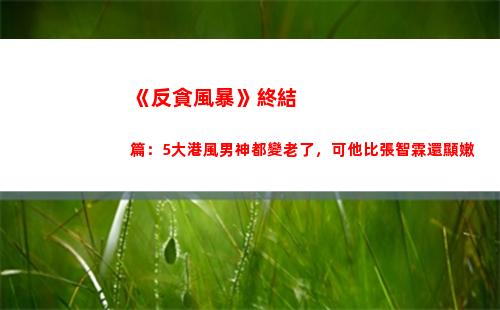 《反貪風暴》終結篇：5大港風男神都變老了，可他比張智霖還顯嫩(《反貪風暴》電影)