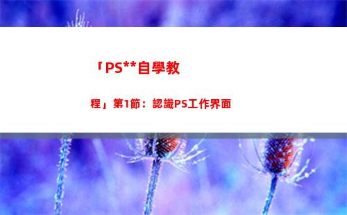 「PS全套自學教程」第1節：認識PS工作界面(自學ps入門全套教程)