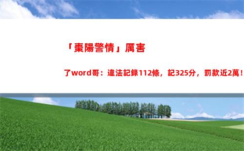 「棗陽警情」厲害了word哥：違法記錄112條，記325分，罰款近2萬！豐田車主刷新違法記錄……