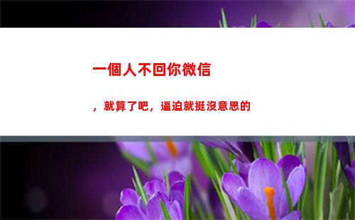 一個人不回你微信，就算了吧，逼迫就挺沒意思的(卻發了朋友圈)