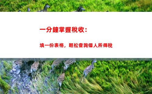 怎樣查詢個稅繳納情況？快速和準確查詢個人所得稅信息