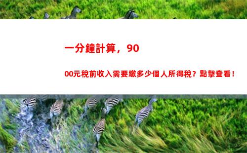 如何計算個人所得稅積分？ - 稅務新手必看！