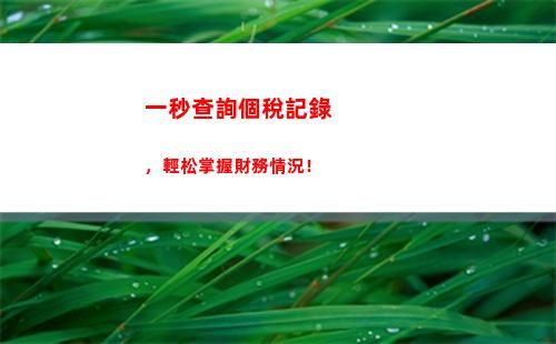 個人所得稅考核(個人所得稅怎么查)