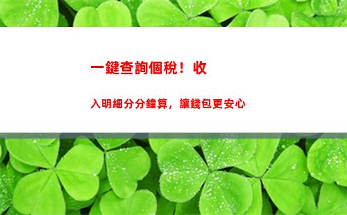 輕松實現個稅查詢！快速登錄，一鍵查看你的個稅信息！