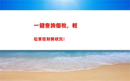 零基礎也能輕松查詢個人所得稅，快來試試吧！