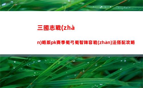 三國志戰(zhàn)略版sp郭嘉最強陣容 sp郭嘉戰(zhàn)法搭配
