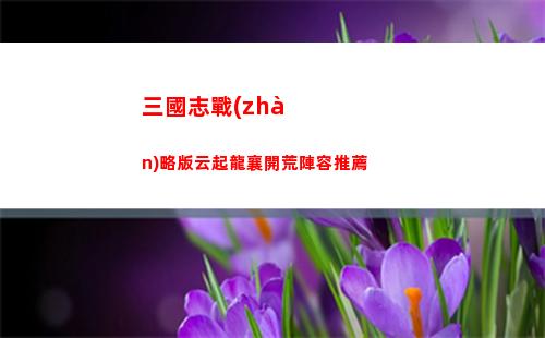 三國志戰(zhàn)略版云起龍襄開荒陣容推薦