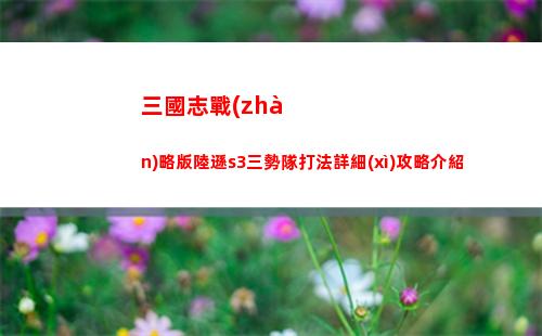 三國志戰(zhàn)略版陸遜s3三勢隊打法詳細(xì)攻略介紹