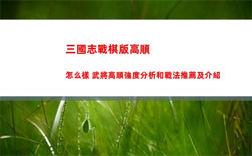 三國志戰棋版高順怎么樣 武將高順強度分析和戰法推薦及介紹