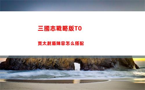 三國志戰略版T0賈太尉盾陣容怎么搭配