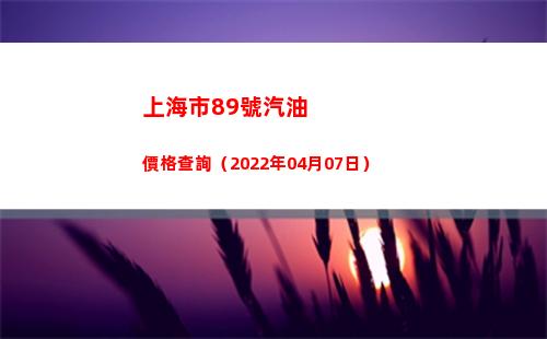 上海市89號汽油價格查詢（2022年04月07日）插圖