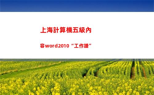 上海計算機五級內容word2010“工作證”(計算機五級考試)