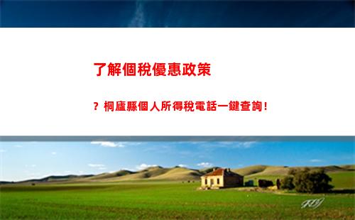 輕松查詢個稅繳納記錄，快來了解你的稅務狀況！