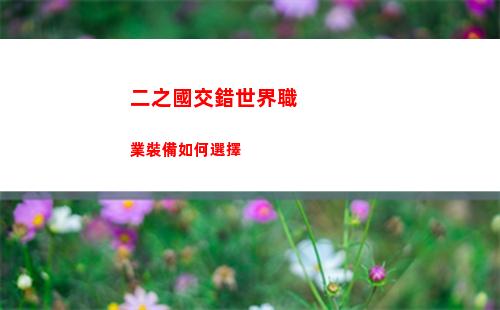 二之國交錯世界職業裝備如何選擇
