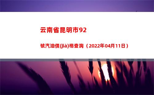 云南省昆明市92號汽油價(jià)格查詢（2022年04月11日）