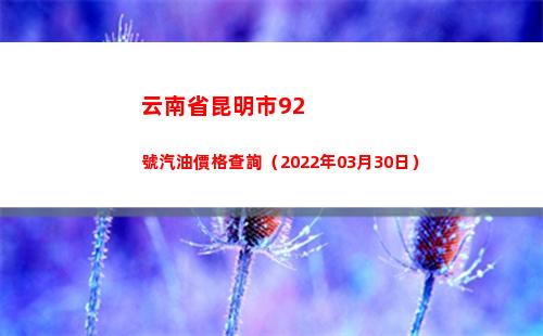 云南省昆明市92號汽油價格查詢（2022年03月30日）
