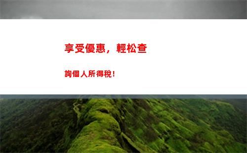 接活個人所得稅(個人所得稅怎么查)