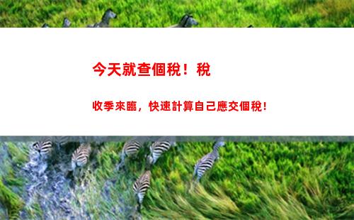 個人所得稅有什么好處(公司交個人所得稅有什么好處)