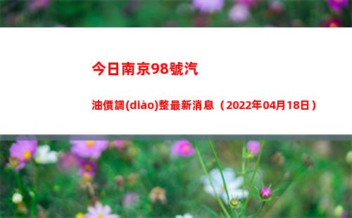 今日南京98號汽油價調(diào)整最新消息（2022年04月18日）