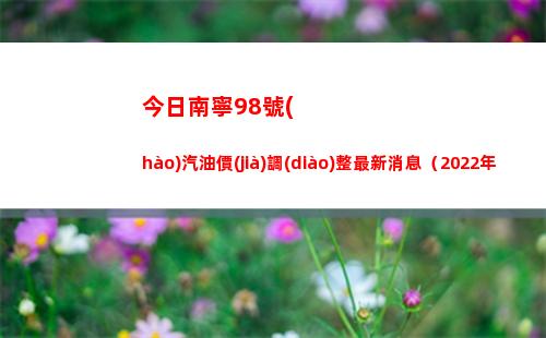 今日南寧98號(hào)汽油價(jià)調(diào)整最新消息（2022年04月11日）