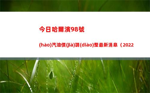 今日哈爾濱98號(hào)汽油價(jià)調(diào)整最新消息（2022年04月02日）