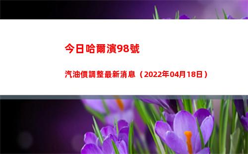 今日哈爾濱98號汽油價調整最新消息（2022年04月18日）