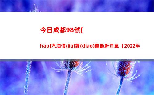 今日成都98號(hào)汽油價(jià)調(diào)整最新消息（2022年04月13日）插圖