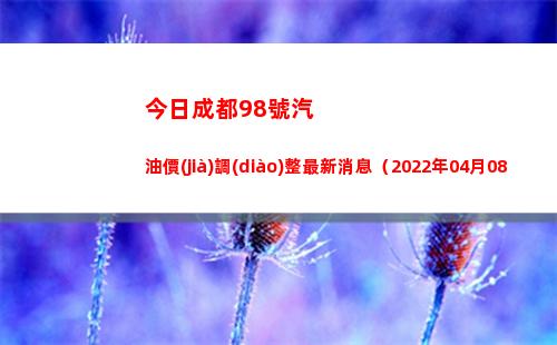 今日成都98號汽油價(jià)調(diào)整最新消息（2022年04月08日）