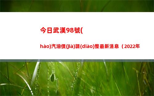 今日武漢98號(hào)汽油價(jià)調(diào)整最新消息（2022年04月02日）