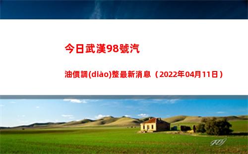今日武漢98號汽油價調(diào)整最新消息（2022年04月11日）