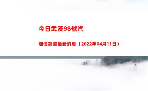 今日武漢98號汽油價調整最新消息（2022年04月11日）插圖