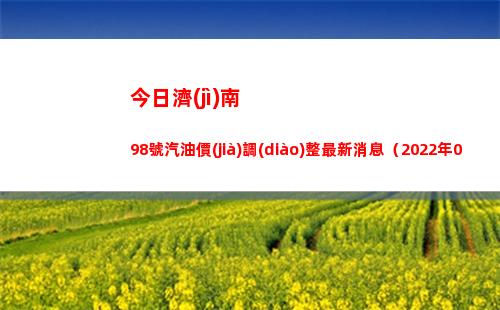 今日濟(jì)南98號汽油價(jià)調(diào)整最新消息（2022年04月16日）插圖