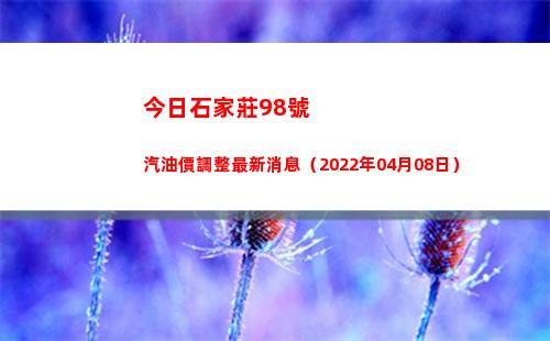今日石家莊98號汽油價調整最新消息（2022年04月08日）