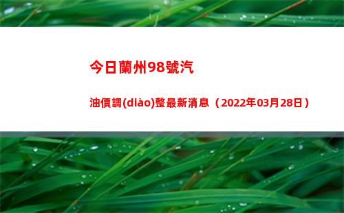 今日蘭州98號汽油價調(diào)整最新消息（2022年03月28日）