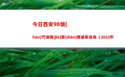 今日西安98號(hào)汽油價(jià)調(diào)整最新消息（2022年04月07日）