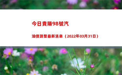 今日貴陽98號汽油價調整最新消息（2022年03月31日）