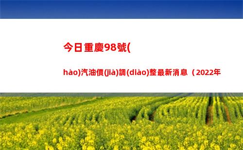 今日重慶98號(hào)汽油價(jià)調(diào)整最新消息（2022年04月11日）插圖
