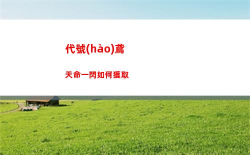 代號(hào)鳶天命一閃如何獲取