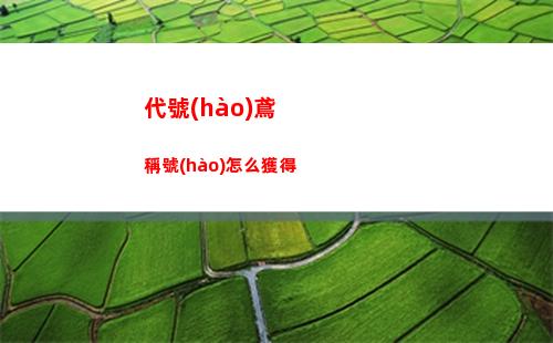 代號(hào)鳶稱號(hào)怎么獲得