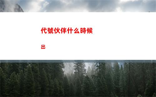 代號伙伴什么時候出