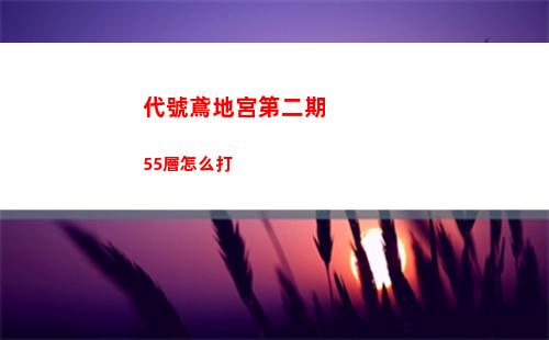 代號鳶地宮第二期55層怎么打