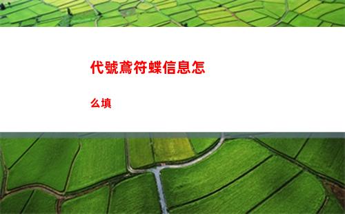 代號鳶符蝶信息怎么填