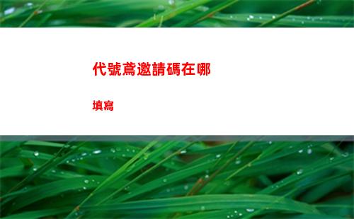 代號鳶邀請碼在哪填寫