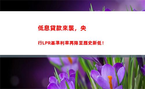 意外所得個人所得稅稅率(財產(chǎn)租賃所得個人所得稅稅率)